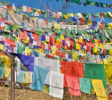 Photo Inde Himalayenne : Circuit 15 Jours avec Chauffeur